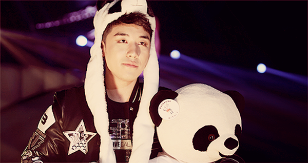 Trên sân khấu, nam ca sĩ thần tượng đội mũ gấu trúc trong khi trên tay là một em gấu.