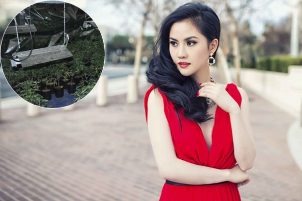 Vào thời điểm bị tuyên án, người đẹp đang mang thai nên được hoãn thi hành án. Tristine Trâm Bùi là người Đà Nẵng, cô sang Mỹ sau khi kết hôn với một người bản địa. Ngoài hoa hậu, người chồng hiện tại là Keith Ly cũng bị buộc tội trồng cần sa, cả hai bị truy tố hồi tháng 7/2012. Trong thời gian ở Mỹ, Tristine Trâm Bùi làm việc ở các casino, người mẫu. 