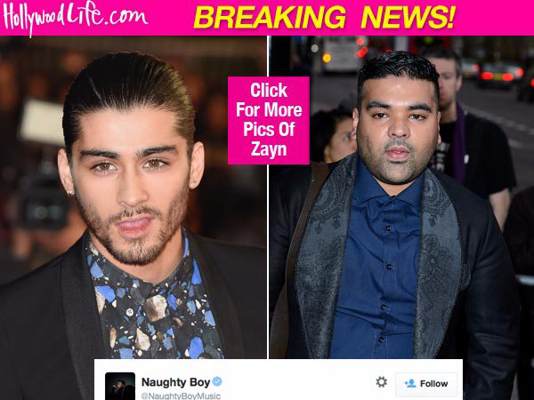 I won't mind - Zayn Malik demo hinh anh