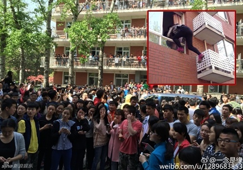 Nu sinh vien treo tuong ngam Ta Dinh Phong hinh anh