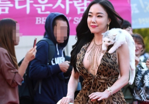 Sao nu ho bao lan at dan sao Han tren tham do hinh anh