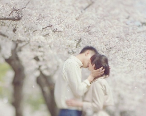 Uyen uong man anh Han lang man duoi cay hoa anh dao hinh anh