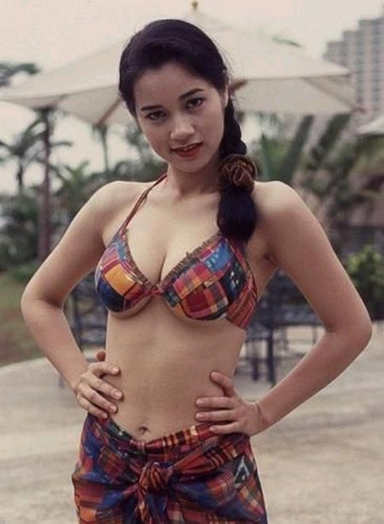 Trịnh Diễm Lệ: Vào thời kỳ đỉnh cao, Trịnh Diễm Lệ không chỉ có khả năng diễn xuất mà còn gây chú ý và được săn đón bởi ngoại hình bốc lửa. Cũng nhờ ngoại hình này, cô đã dấn thân vào dòng phim cấp ba. Tuy nhiên, sự nghiệp của Trịnh Diễm Lệ sau đó đã không được như ý.