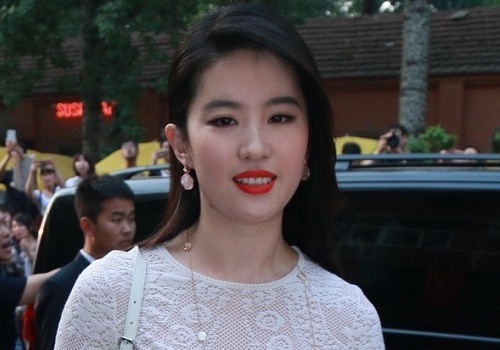 Luu Diec Phi, Gia Tinh Van bi gia dinh nua kia che hoc van hinh anh