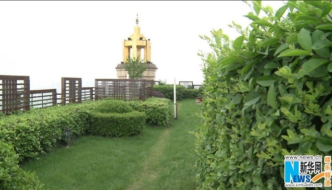 Khu vực khuôn viên biệt thự được phủ kín cây xanh.