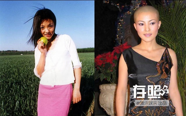 Năm 2004, bạn trai Tạ Vũ Hân - Trần Tuấn Lâm bị cảnh sát bắt giữ. Đến lúc này, cảnh sát mới phát hiện, tên này là tội phạm lẩn trốn 20 năm. Vụ bê bối khiến sự nghiệp cô lao đao. Năm 2006, không chịu nổi áp lực dư luận, cô rút lui khỏi showbiz