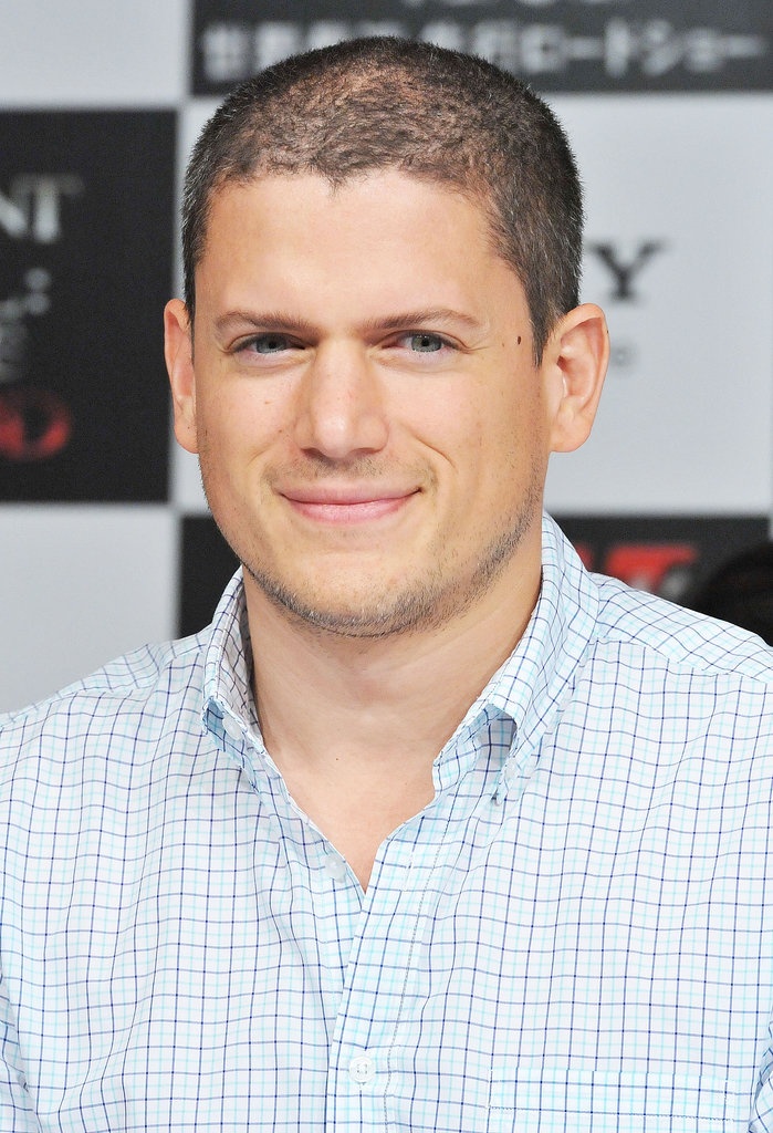 Năm 2013, tài tử Wentworth Miller tiết lộ giới tính thật thông qua một bức thư gửi đến dự LHP St. Petersburg ở Nga. Vì luật phân biệt đối xử với cộng đồng người đồng tính ở Nga, tài tử Prinson Break từ chối đến đây.  “Tôi từng rất thích đến thăm nước Nga có thể khẳng định mang trong mình chút dòng máu Nga. Tuy nhiên, là một người đồng tính, tôi phải từ chối. Tôi vô cùng lo lắng về thái độ và sự đối xử của chính phủ Nga với những người đồng tính”. 
