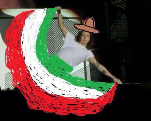 Harry Styles bi che anh nga tren san khau hinh anh