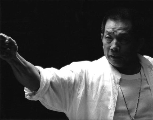 Lưu Gia Lương giữ vị trí thứ 11. 9 tuổi, Lưu theo cha học võ và bắt đầu sự nghiệp diễn xuất phim hành động từ năm 17, 18 tuổi. Năm 1990, ông tham gia phim Teenage Mutant Ninja Turtles - một trong nuhuwngx phim hiếm hoi của châu Á thành công ở Hollywood. Ông từng dành giải Kim Tượng. Năm 2013, ông qua đời tại Hong Kong.