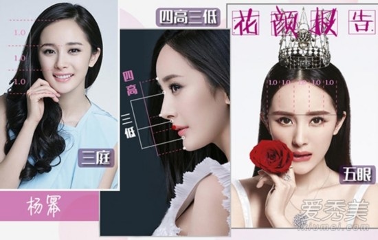 Dương Mịch không đạt chuẩn khi có khuôn miệng hơi thụt vào so với mũi và cằm, nên không đạt tiêu chí cân bằng theo góc nghiêng.