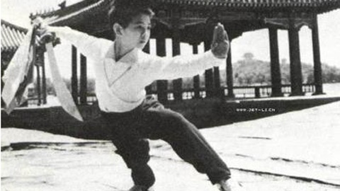 8 tuổi, Lý Liên Kiệt đã tầm sư học đạo, anh gắn bó với môn wushu. 