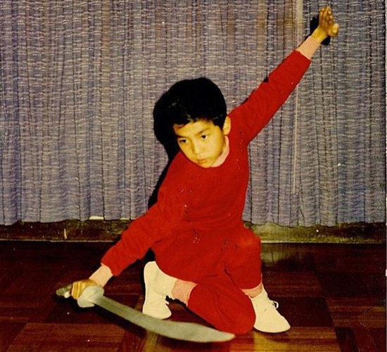 Chân Tử Đan cũng giống Lý Liên Kiệt, theo học wushu, Thái cực quyền. 