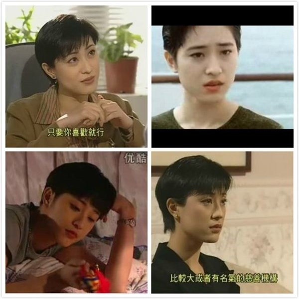 Năm 1989, Trần Pháp Dung giành giải Hoa hậu Hong Kong, thuận lợi bước chân vào làng giải trí. Cô nhanh chóng để lại ấn tượng trên màn ảnh nhỏ qua các bộ phim phim Mỹ vị thiên vương, Lệnh truy nã... Sđặc biệt vai Ân Đồng trong Hồ sơ trinh sát III đã giúp Pháp Dung trở thành ngôi sao nổi tiếng của Hong Kong.