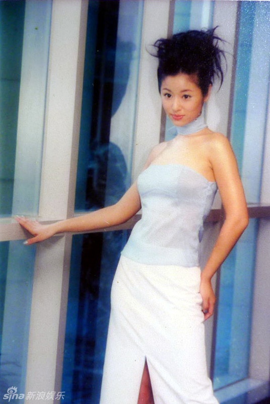 Cũng vì thế, một thời gian dài, cô không có vai diễn ấn tượng. Lâm Tâm Như nổi tiếng nhờ thành công bất ngờ của Hoàn Châu cách cách.