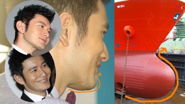 Truyền thông Hong Kong cho rằng chiếc cằm của tài tử chẳng khác gì boong tàu. Ngoài ra, anh còn bị nghi ngờ sửa mắt.