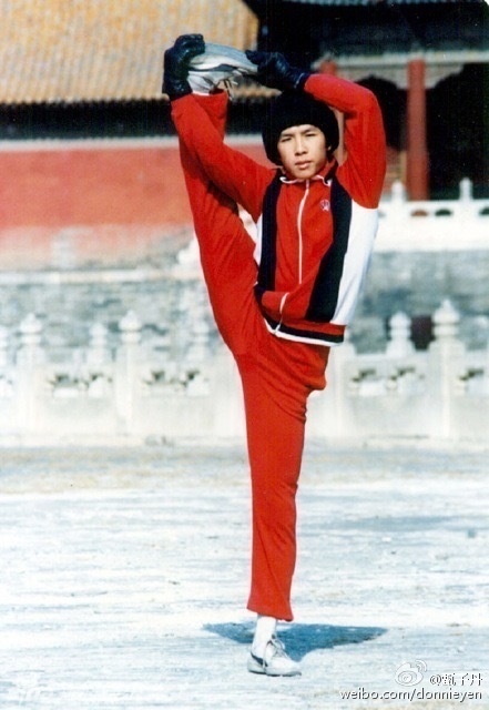 Chân Tử Đan sinh trưởng trong gia đình có cha là nhà báo, mẹ là võ sư nổi tiếng Mạch Bảo Thiền. 2 tuổi, anh theo cha sang Hong Kong, vì mẹ còn dang dở công việc nên vẫn ở lại Quảng Châu. Vài năm sau, gia đình Tử Đan mới có dịp đoàn tụ. Cũng từ lúc này, Chân Tử Đan dần quen với các thế võ học.