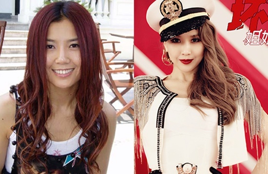 Năm 2004 với single I am not Wang Rong, Vương Dung đã vụt sáng trở thành sao trong làng giải trí xứ Trung. Nhưng sau khi phát hành album Double vào năm 2007, cô bỗng biến mất mà không một lời giải thích. 2 năm sau cô tái xuất làng nhạc với diện mạo thay đổi khá nhiều. Vương Dung cũng không ngần ngại khi công khai việc mình đụng dao kéo. Cô chia sẻ rằng mình muốn bắt đầu lại từ đầu với một khuôn mặt mới.