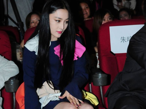 Truong Hinh Du so ho henh trong hop bao hinh anh