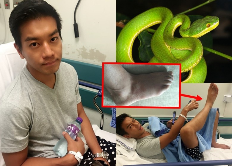 Lê Nặc Ý sau khi bị rắn cắn.