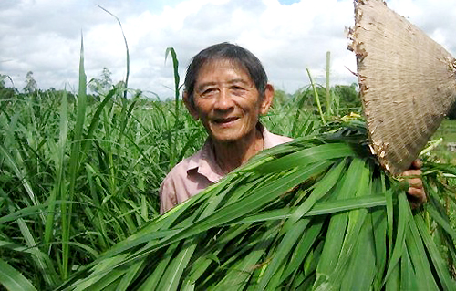 Nghi an van chuong khong can hoa giai hinh anh
