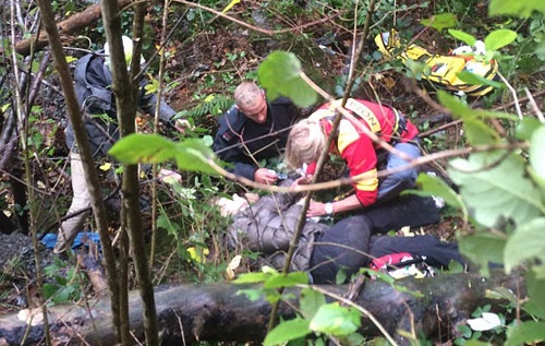 Hiện trường vụ tai nạn của Ena Kadic.