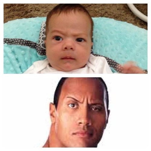 The Rock