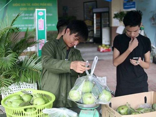 Lệ Rơi sau ước mơ “ăn xổi” để được nổi tiếng, đã quay trở về làm người bán ổi
