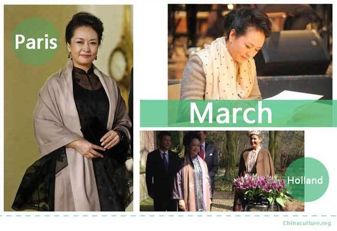 Tại Trung Quốc, bà Bành Lệ Viện là một trong số ít những Đệ nhất phu nhân được yêu mến và đánh giá cao về gu thời trang. Trang Sina từng ca tụng, bà đã tạo nên thương hiệu 