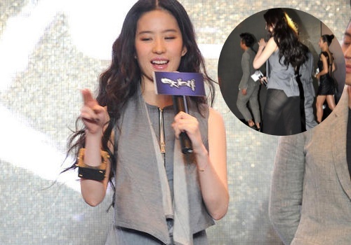 Luu Diec Phi thanh tham hoa thoi trang vi vay xuyen thau hinh anh