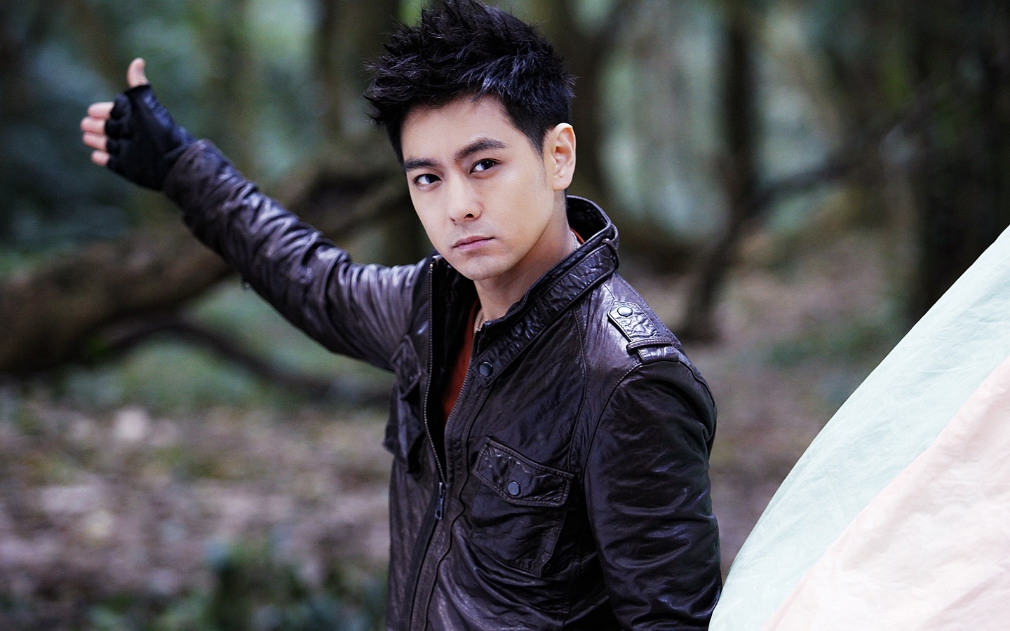 Lâm Chí Dĩnh bị cáo buộc gian dối về khả năng điều khiển xe trong những năm qua.