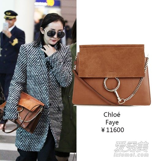 Dương Mịch được đánh giá có gu thời trang tinh tế. Cô sở hữu bộ sưu tập túi đồ sộ, dù là khi dạo phố. Cô từng gây chú ý khi khoác áo dạ phối túi Chloe Faye có giá 11.600 NDT (tương đương 40 triệu đồng) màu da.