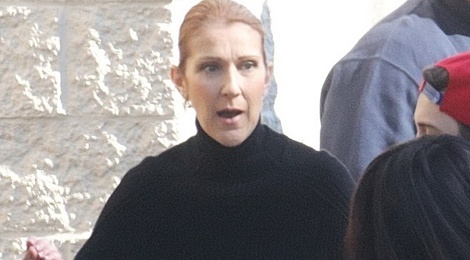 Celine Dion lan dau xuat hien sau khi chong qua doi hinh anh