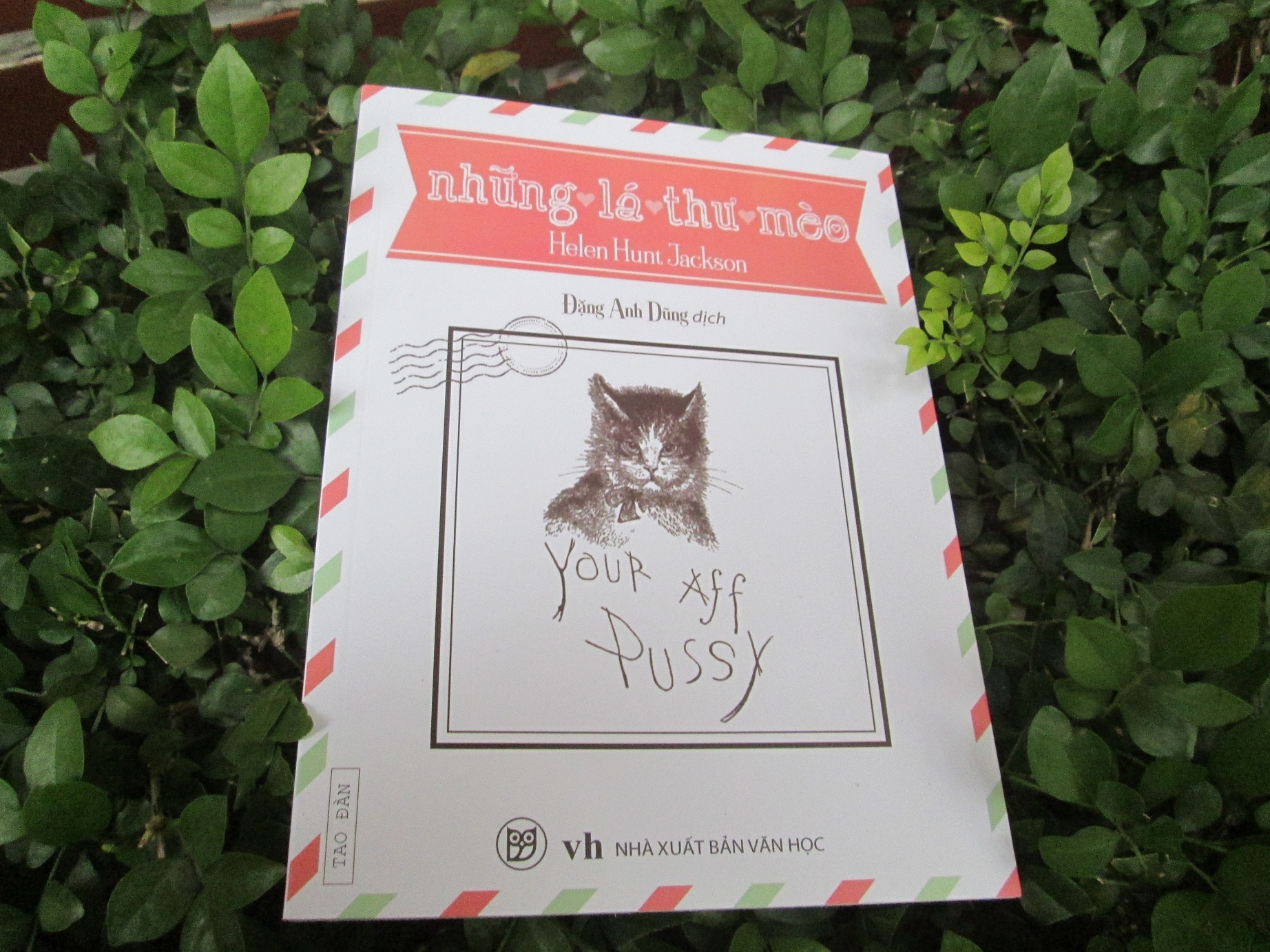 Helen Hunt Jackson va nhung la thu tram tuoi hinh anh