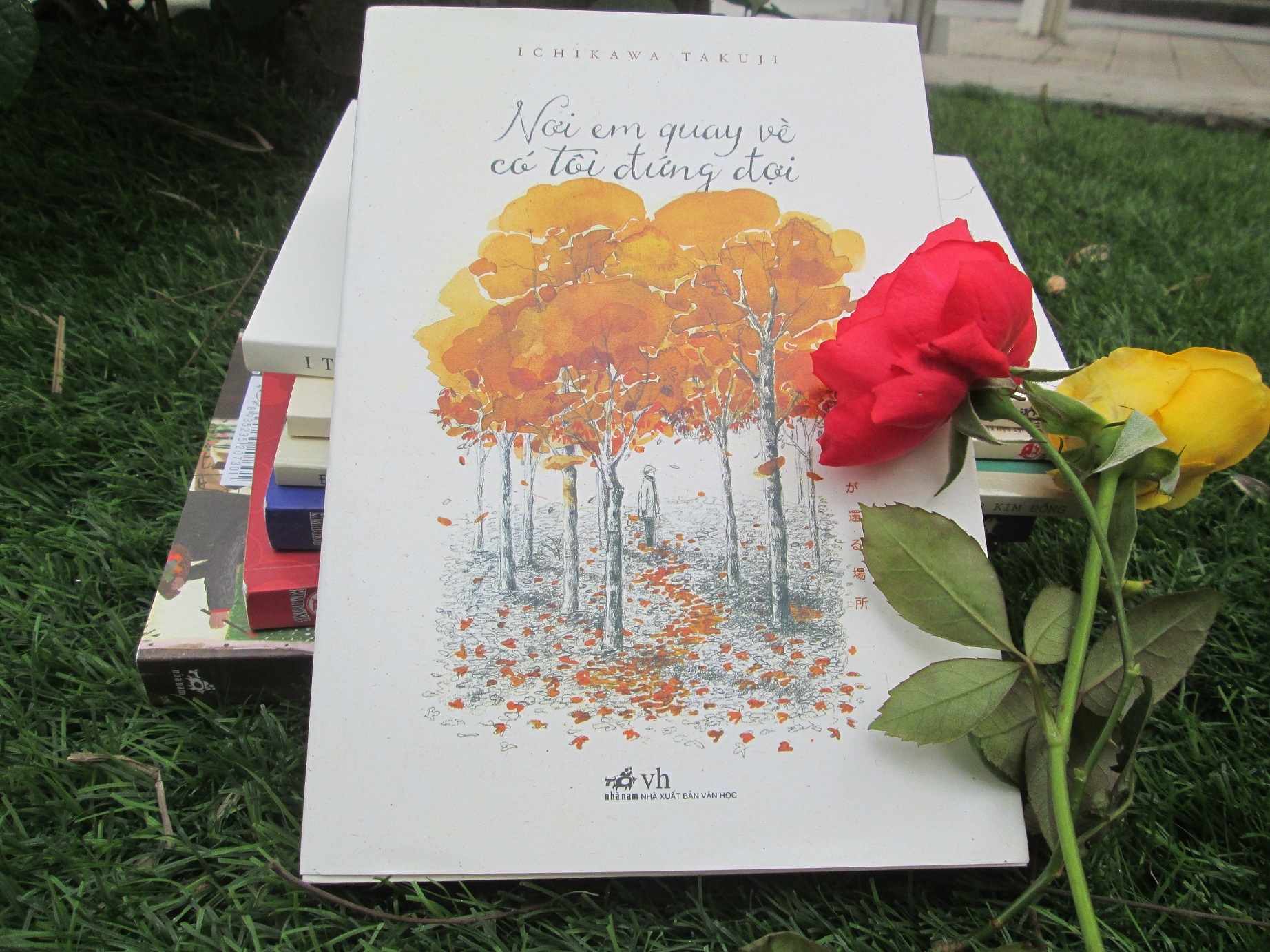 Ichikawa Takuji va cuoc chia ly thuan khiet hinh anh