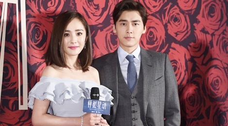 Duong Mich lam viec voi luat su vi bi boi nho hinh anh