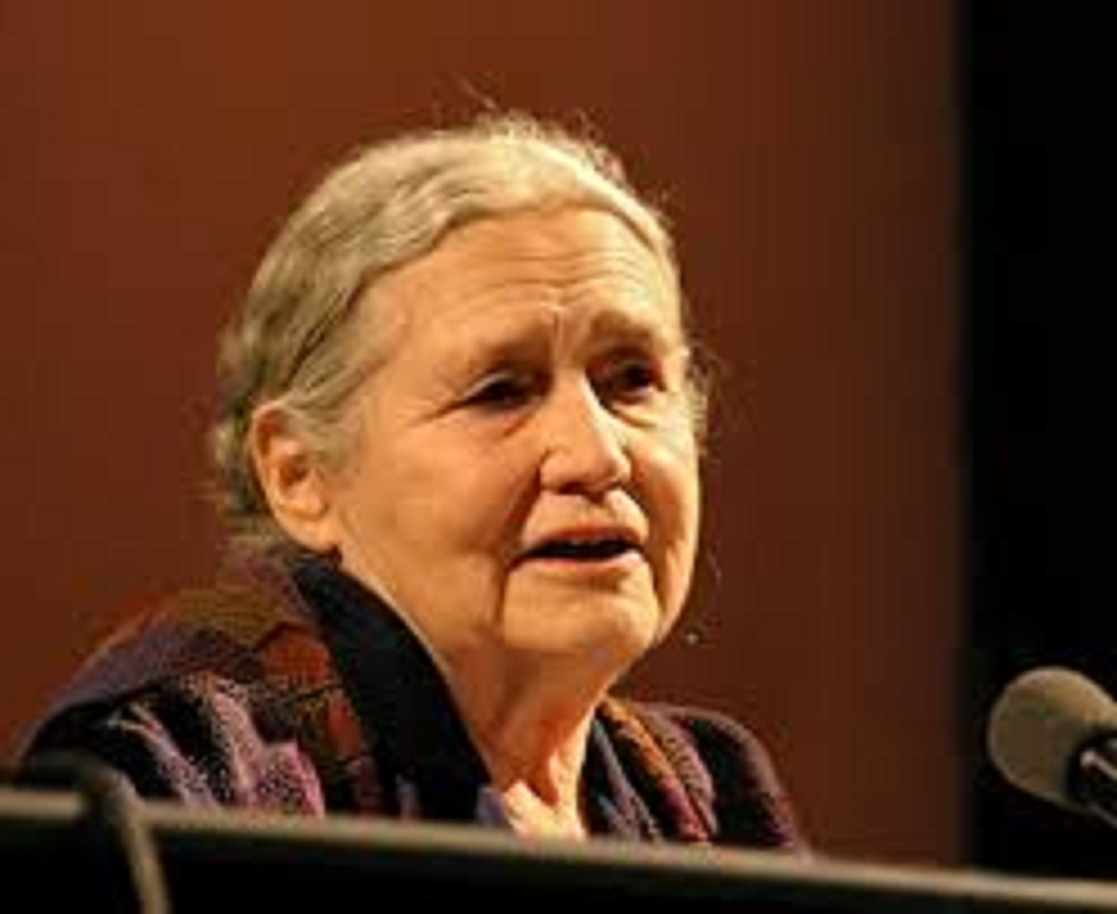 Doris Lessing - Ngoi but nu quyen sac sao hinh anh