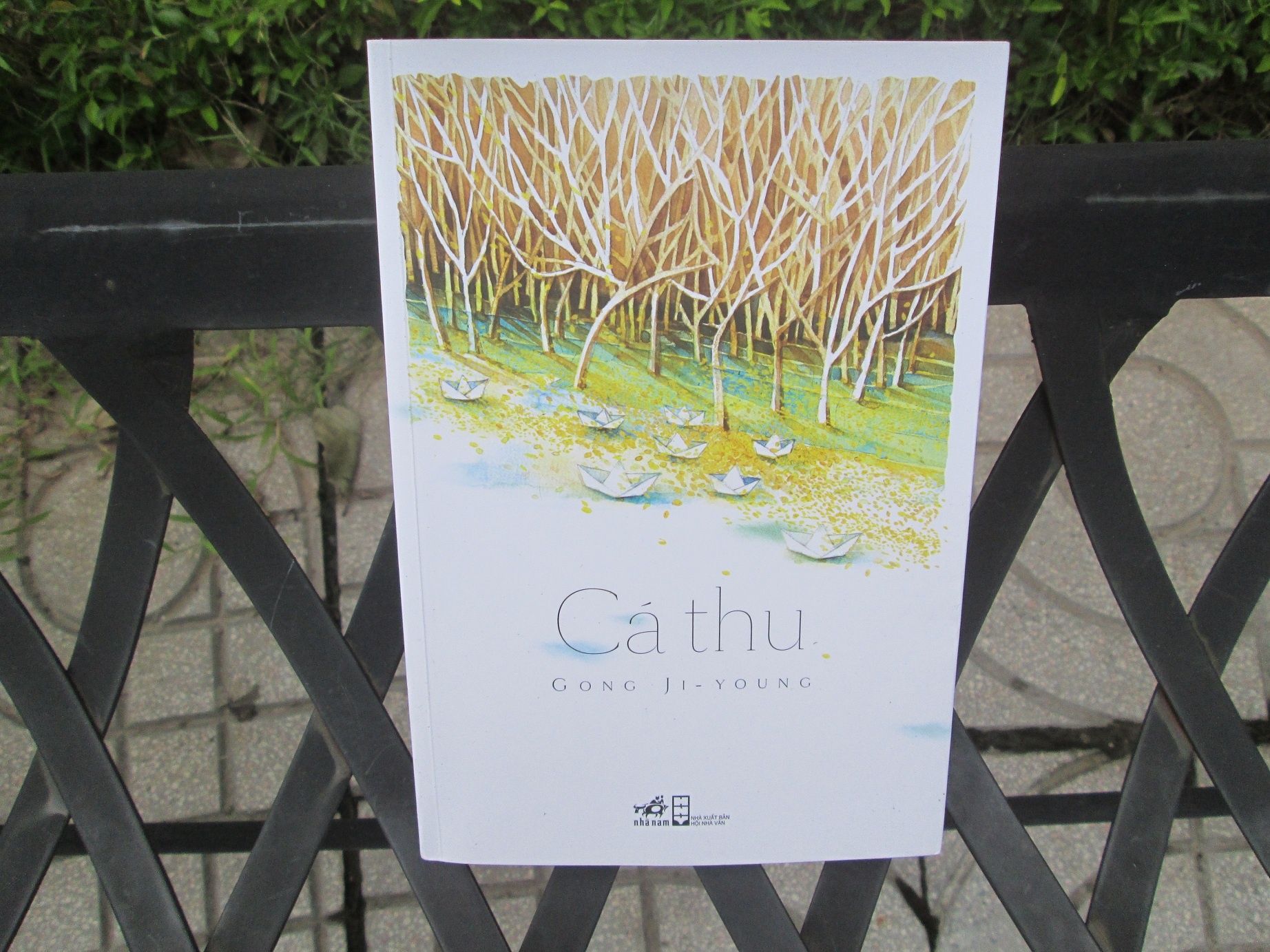 'Ca Thu' - Khuc du ca cua thanh xuan hinh anh