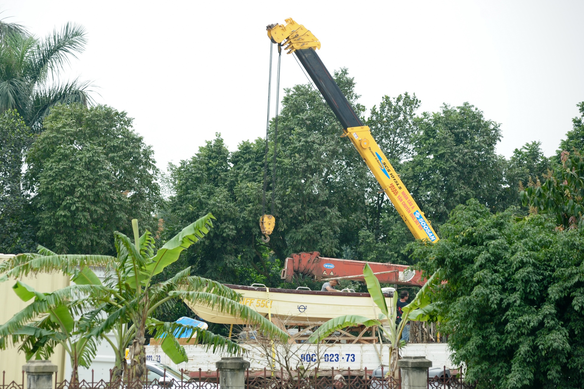 diễn viên quần chúng King Kong ảnh 4 dien vien quan chung King Kong anh 4