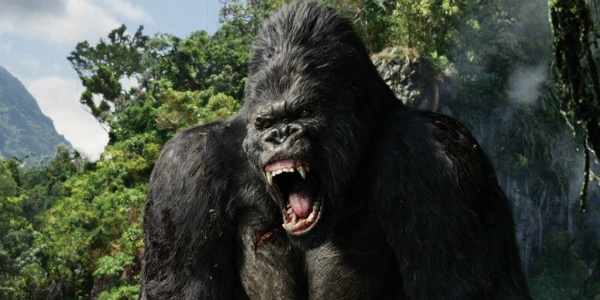 'Kong: Skull Island' ket thuc viec quay phim tai Viet Nam hinh anh
