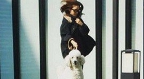 Kim Tae Hee cham soc nha cua cho Bi (Rain) hinh anh