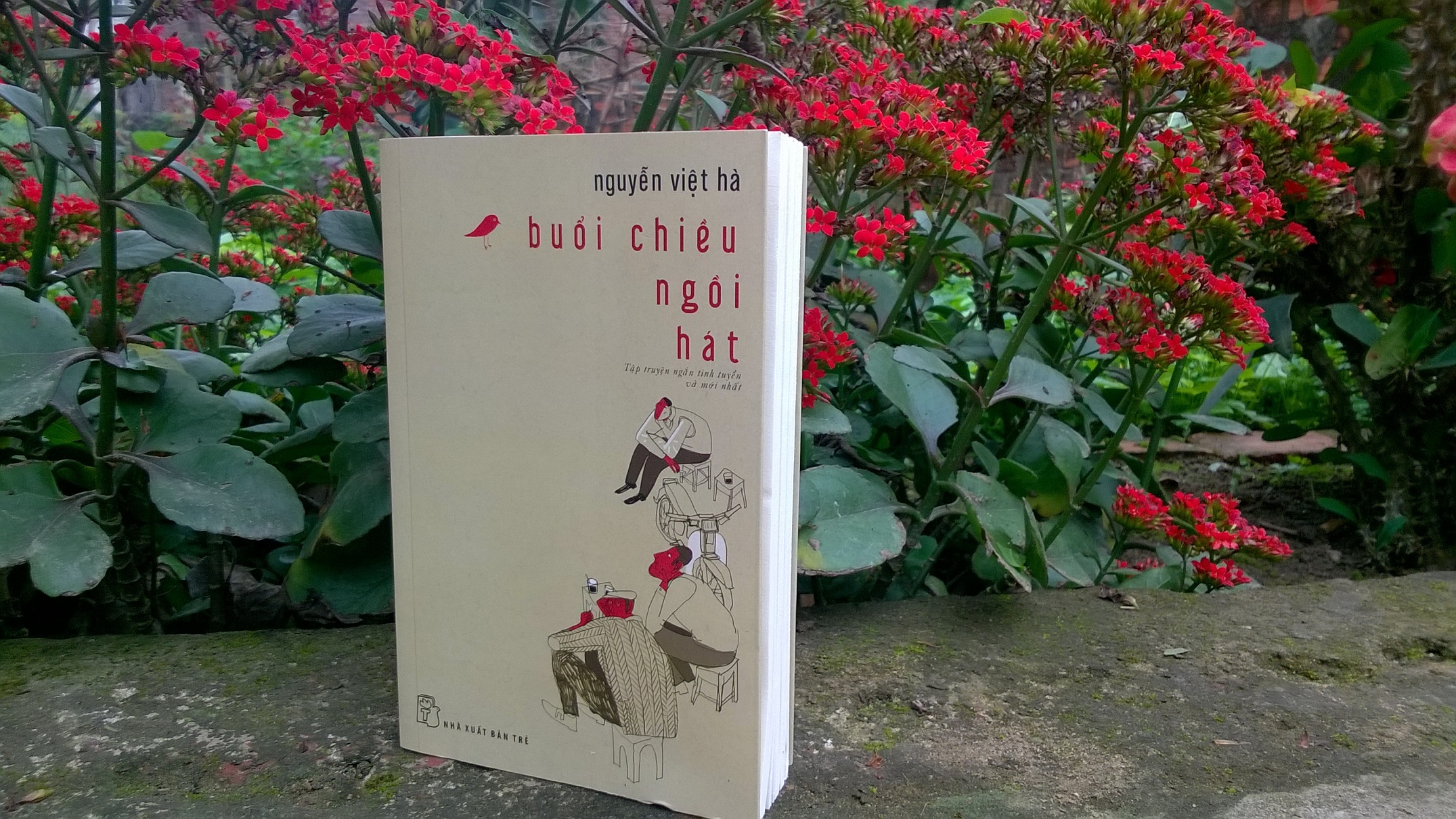 Nha van Nguyen Viet Ha anh 2