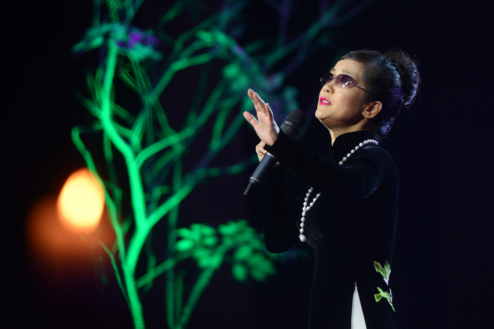 Dem nhac tuong nho Trinh Cong Son anh 3