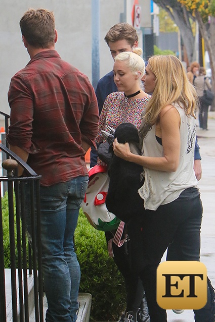 Miley Cyrus va Liam Hemsworth tai hop anh 2