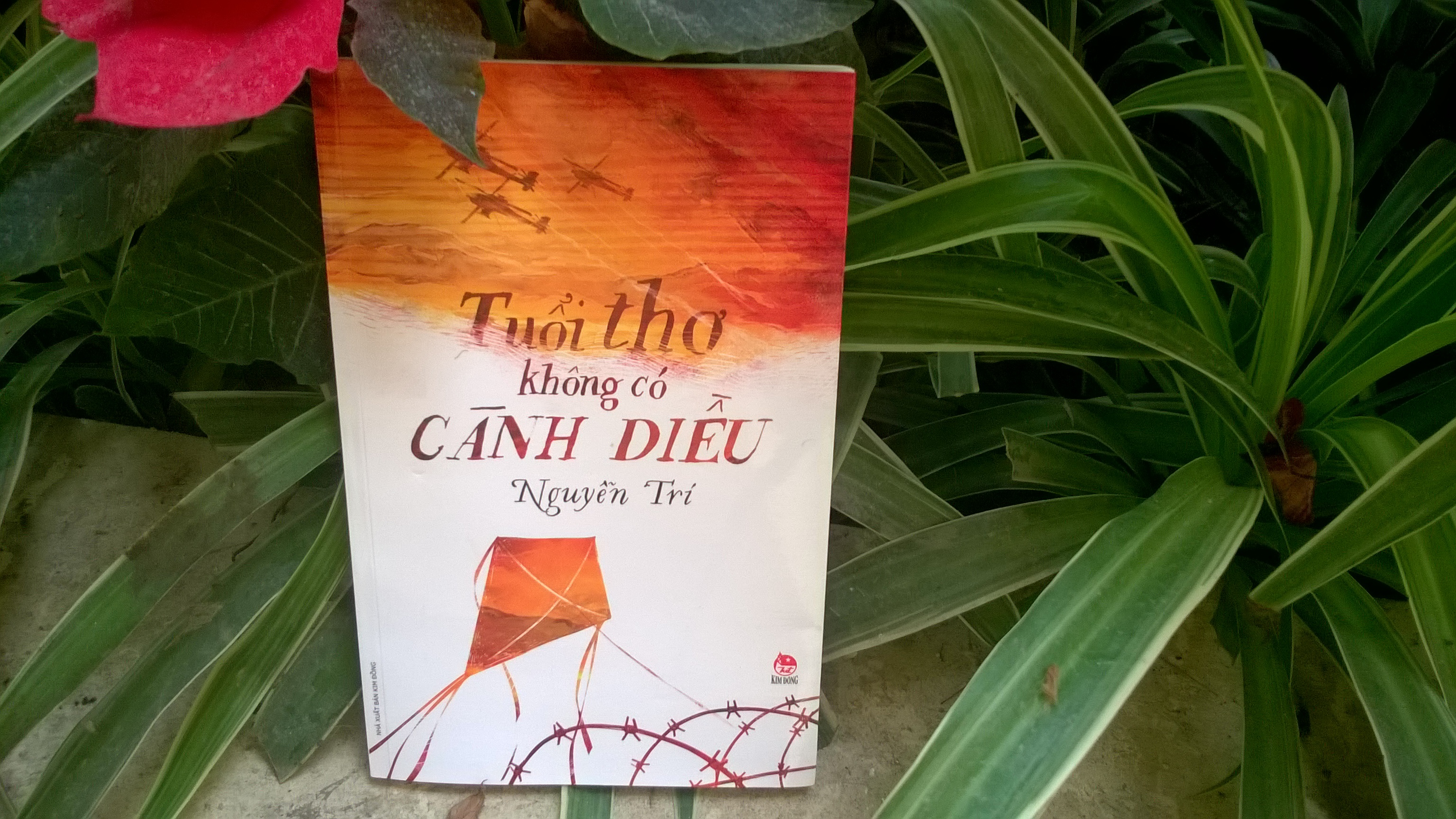 Tuoi tho thoi loan trong van Nguyen Tri hinh anh