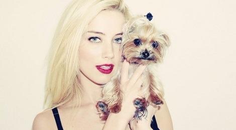 Vo Johnny Depp duoc toa an Australia tha bong hinh anh