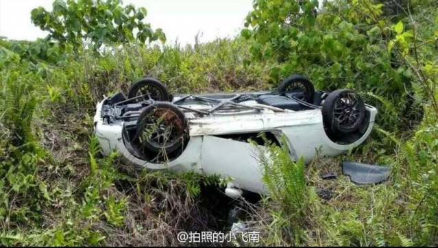 Hoa vuong chau A tai nan anh 2