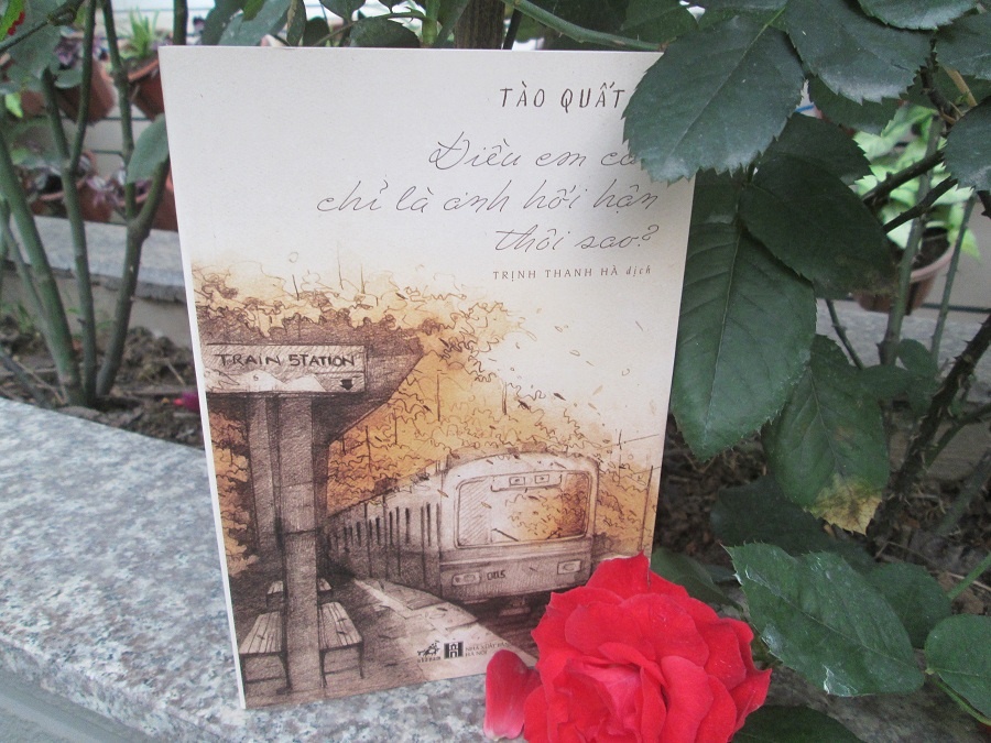 Tao Quat Tu va cau chuyen tinh manh liet thoi thanh xuan hinh anh