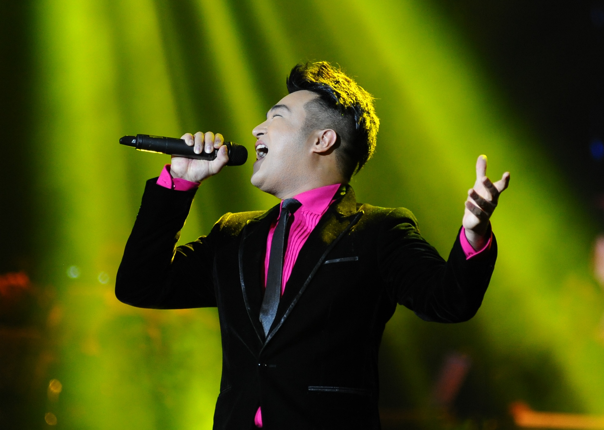 Dam Vinh Hung,  My Tam,  Thanh Tung,  Hong Nhung anh 2