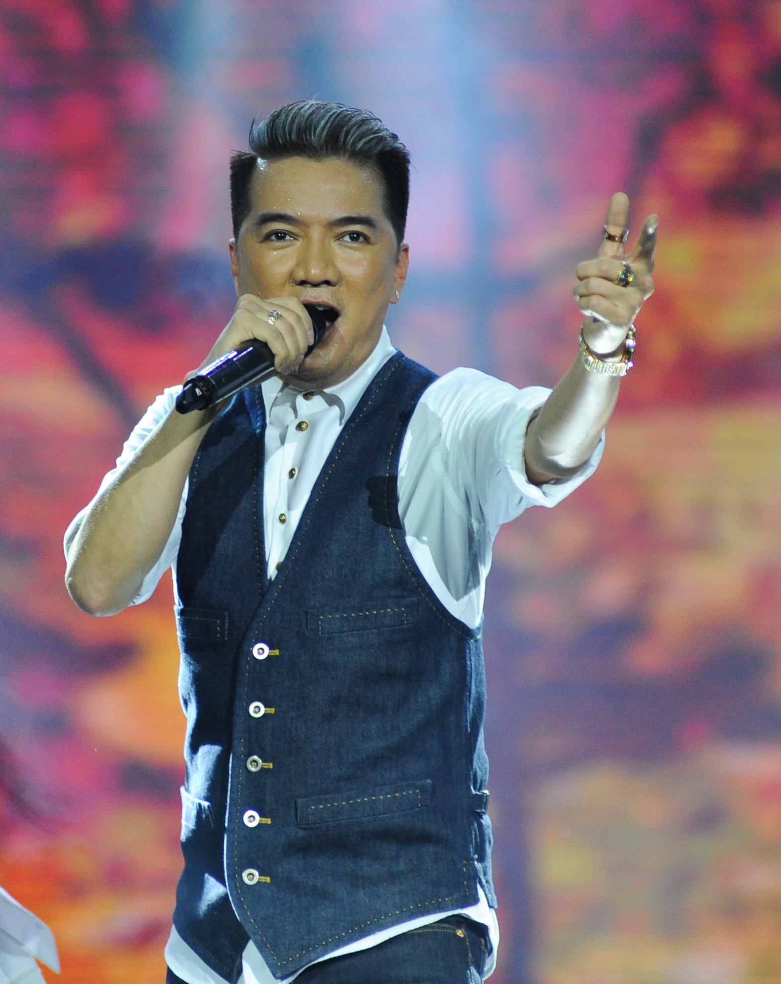 Dam Vinh Hung,  My Tam,  Thanh Tung,  Hong Nhung anh 3