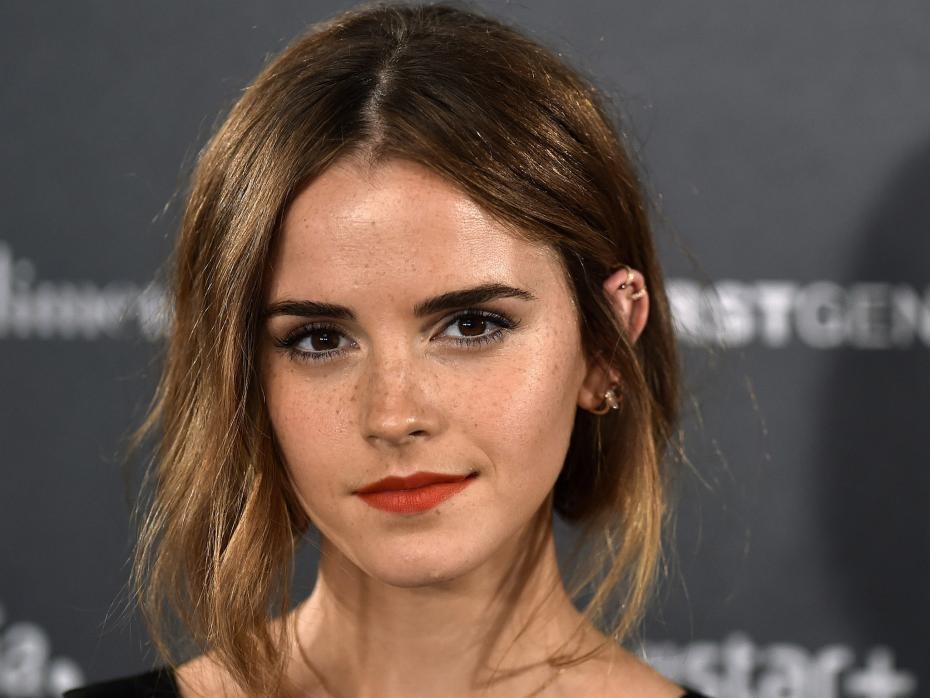 Emma Watson co ten trong Ho so Panama hinh anh